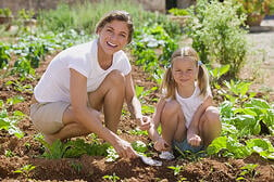 Vegetable Garden 101: Get the Kids Started on a Veggie Patch Project Today
